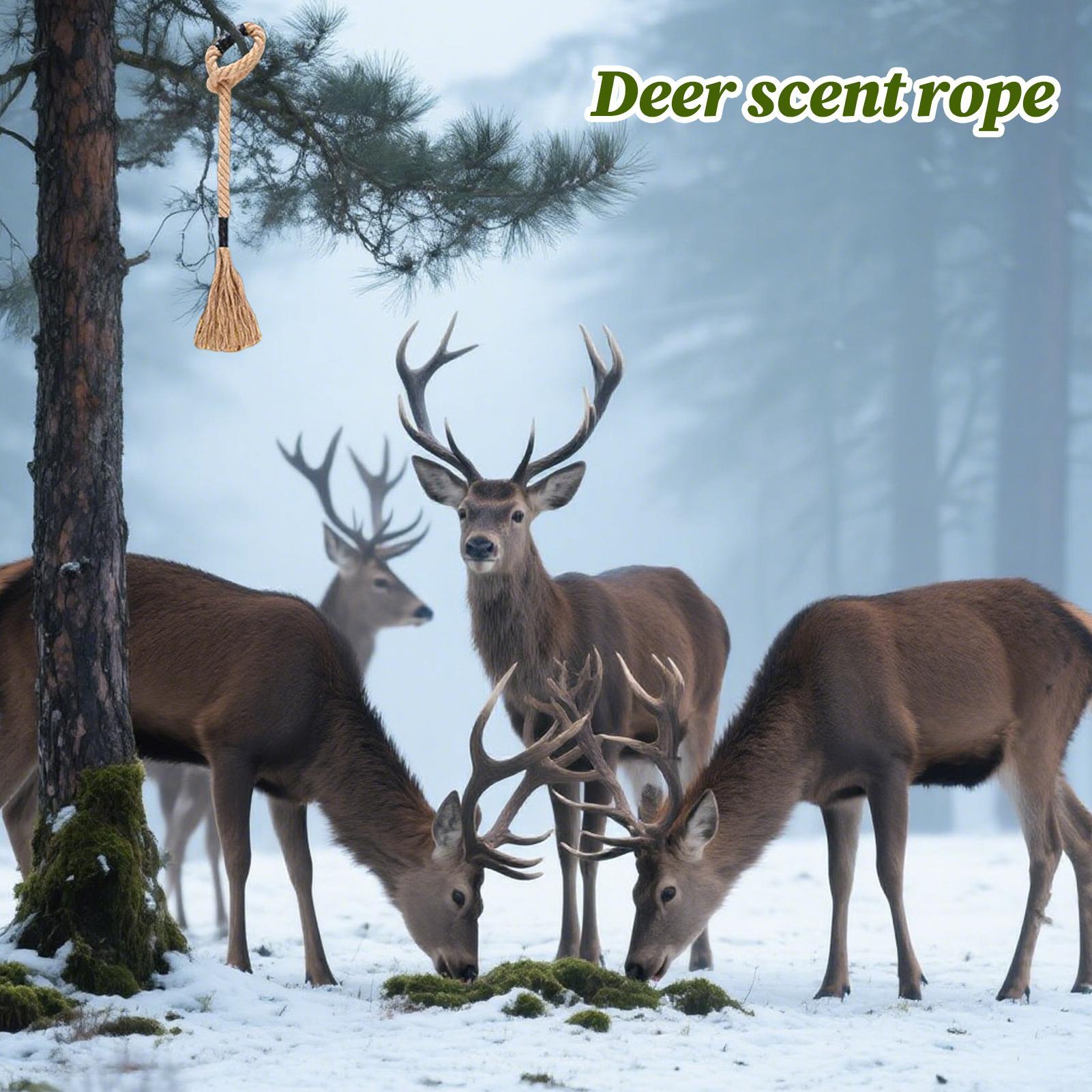 Hirschduftseil, wirksamer, lan – Deer Attractant Scent Bewertung und Preis