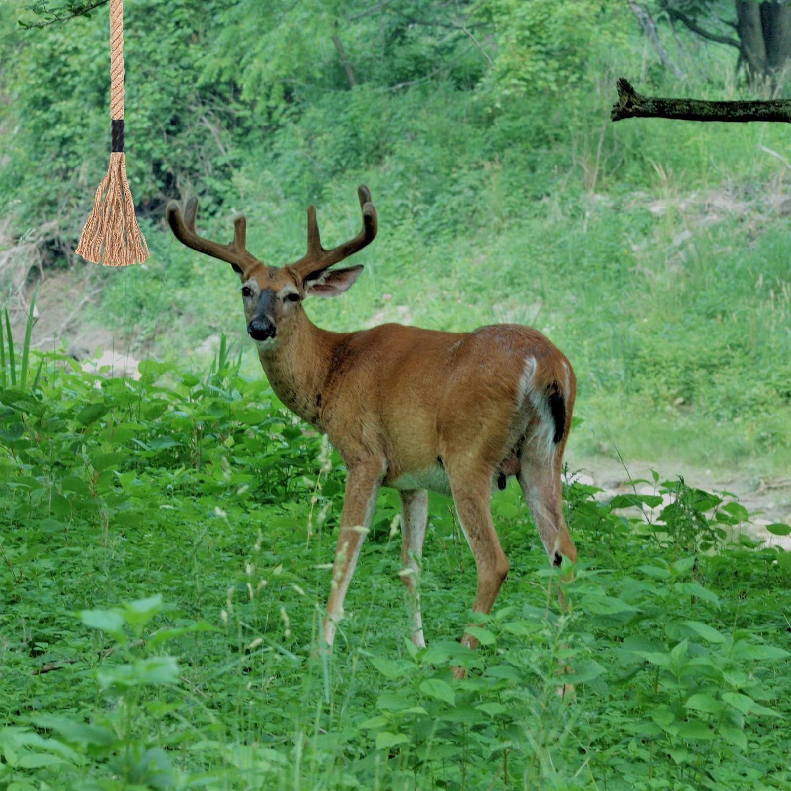 Hirschkratzen, wirksamer, lang – Deer Attractant Scent Bewertung und Preis