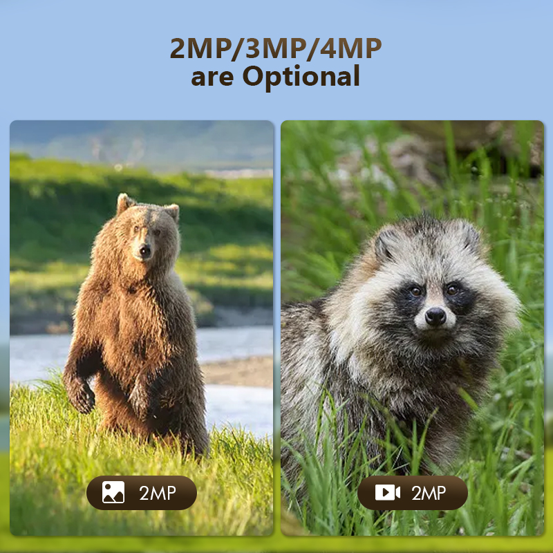 4G 4MP Outdoor Wildlife Huntin – Outdoor Hunting Camera Wifi Bewertung und Preis