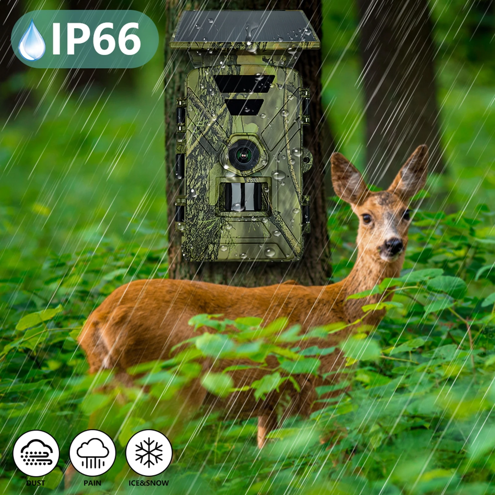 Solar-Wildkamera 8K 60MP WLAN  – Outdoor Hunting Camera Wifi Bewertung und Preis