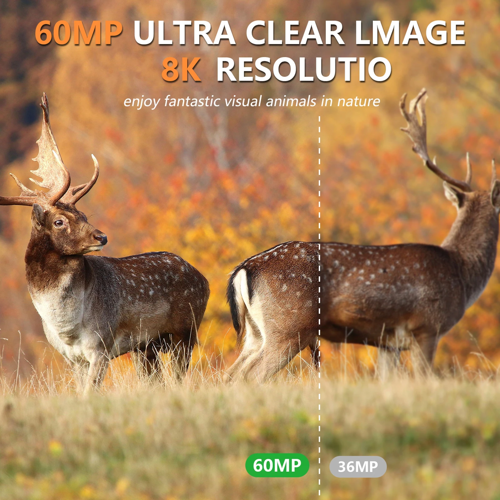 Solar-Wildkamera 8K 60MP WLAN  – Outdoor Hunting Camera Wifi Bewertung und Preis