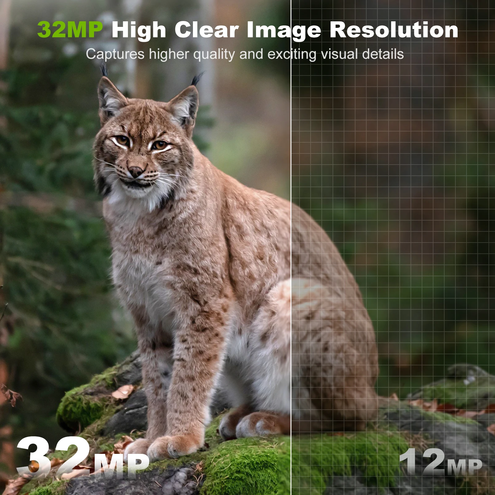 Solarkamera für den Außenberei – Outdoor Hunting Camera Wifi Bewertung und Preis